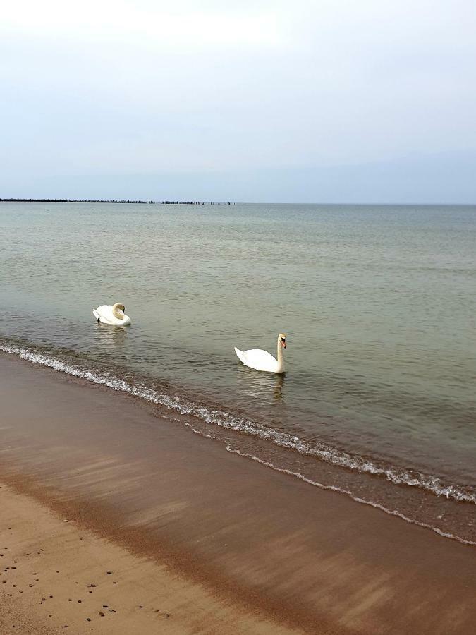 Palanga Apartments Near Baltic Sea المظهر الخارجي الصورة